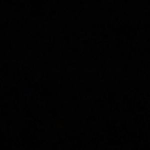 Meet your Posher, Jaden